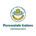 perennials galore