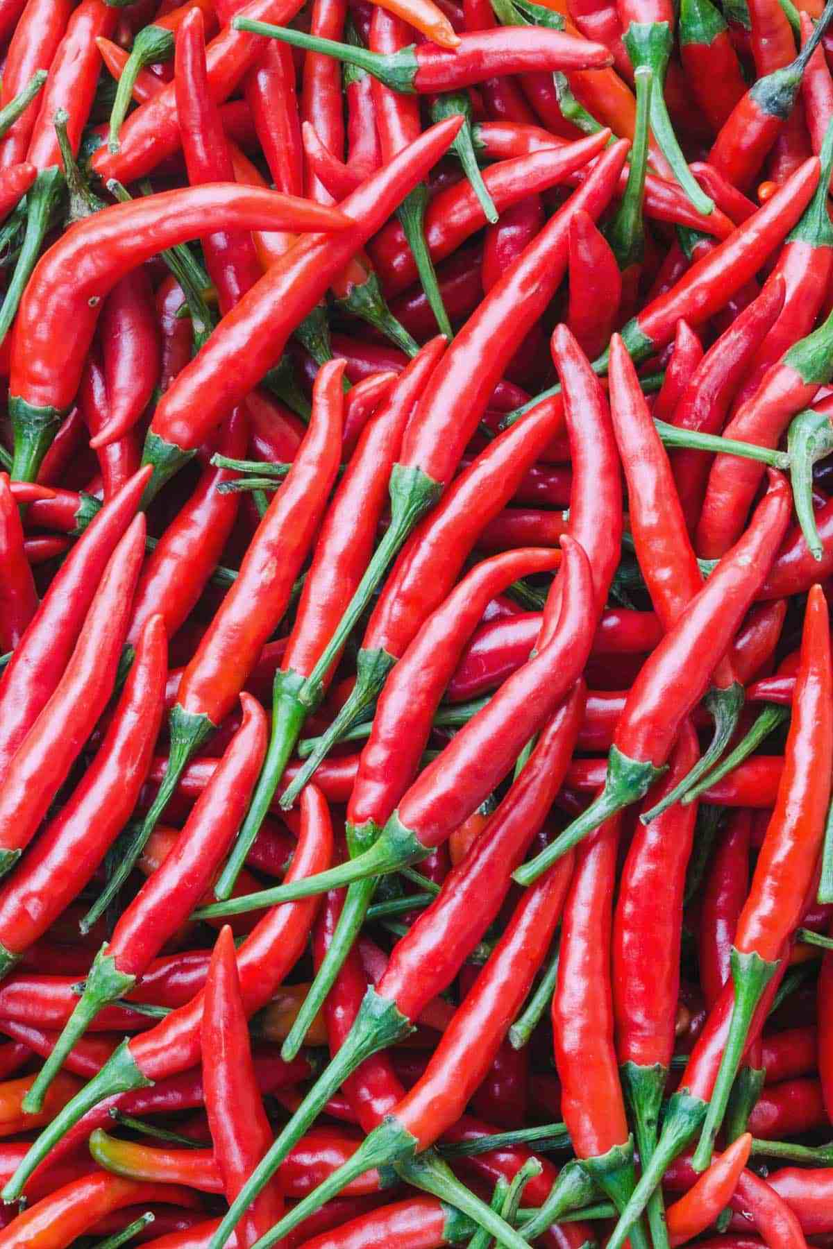 INDIVIDUAL HOT PEPPERS