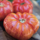 INDIVIDUAL HEIRLOOM TOMATOES - GERMAN STRIPED