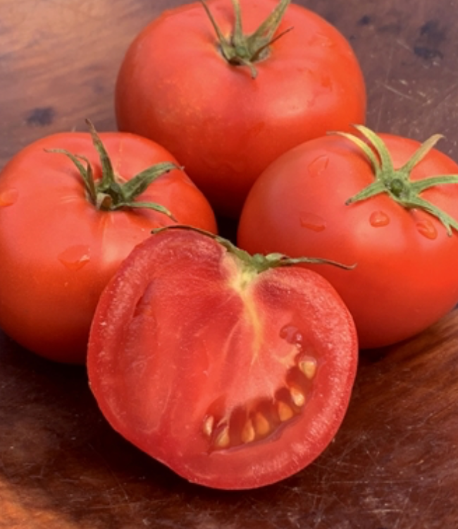 INDIVIDUAL REGULAR TOMATOES - BOX CAR WILLY