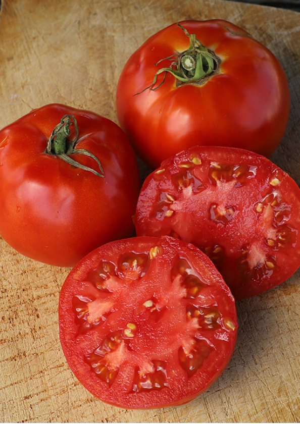 INDIVIDUAL REGULAR TOMATOES - JET STAR