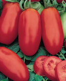 INDIVIDUAL REGULAR TOMATOES - SAN MARZANO