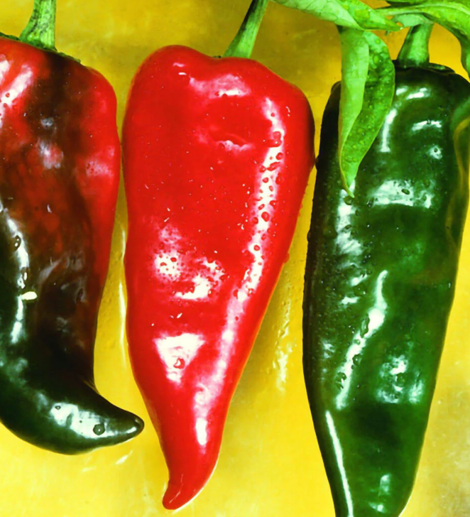 INDIVIDUAL HOT PEPPERS - ANAHEIM CHILI