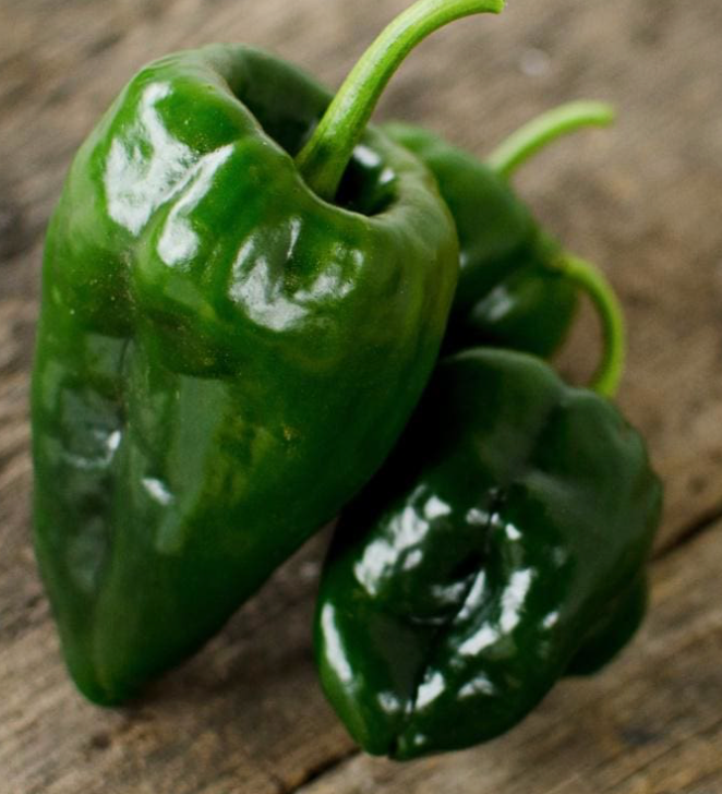 INDIVIDUAL HOT PEPPERS - ANCHO