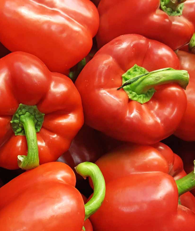 INDIVIDUAL SWEET PEPPER BELL RED