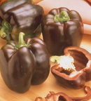 INDIVIDUAL SWEET PEPPERS - CHOCOLATE BEAUTY