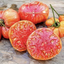 INDIVIDUAL HEIRLOOM TOMATOES - HILLBILLY