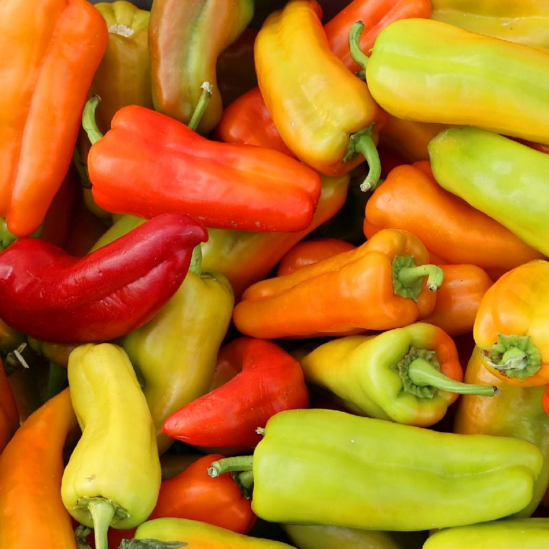 INDIVIDUAL SWEET PEPPERS - CUBANELLE
