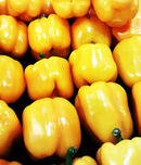 INDIVIDUAL SWEET PEPPERS - SUNBRIGHT