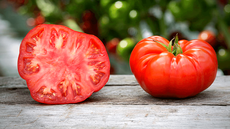 INDIVIDUAL REGULAR TOMATOES - BEEFMASTER