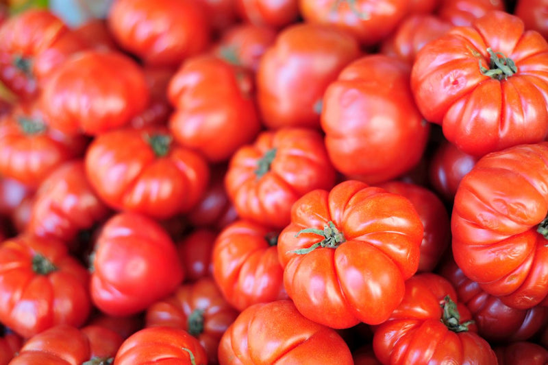 INDIVIDUAL REGULAR TOMATOES - BEEFSTEAK