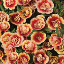 CALIBRACHOA MINI FAMOUS - NEO DOUBLE ORANGETASTIC