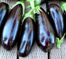 EGGPLANT DUSKY