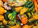 GOURDS