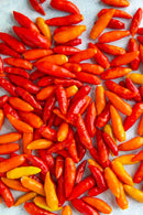 INDIVIDUAL HOT PEPPERS - TABASCO