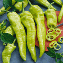 INDIVIDUAL HOT PEPPERS - HUNGARIAN HOT WAX