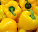 PEPPERS GOLDEN CALIFORNIA WONDER