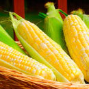 SWEET CORN - HONEY & PEARL