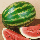 WATERMELON - CRIMSON SWEET
