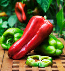 INDIVIDUAL SWEET PEPPERS - BIG BERTHA