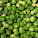 BRUSSEL SPROUTS LONG ISLAND