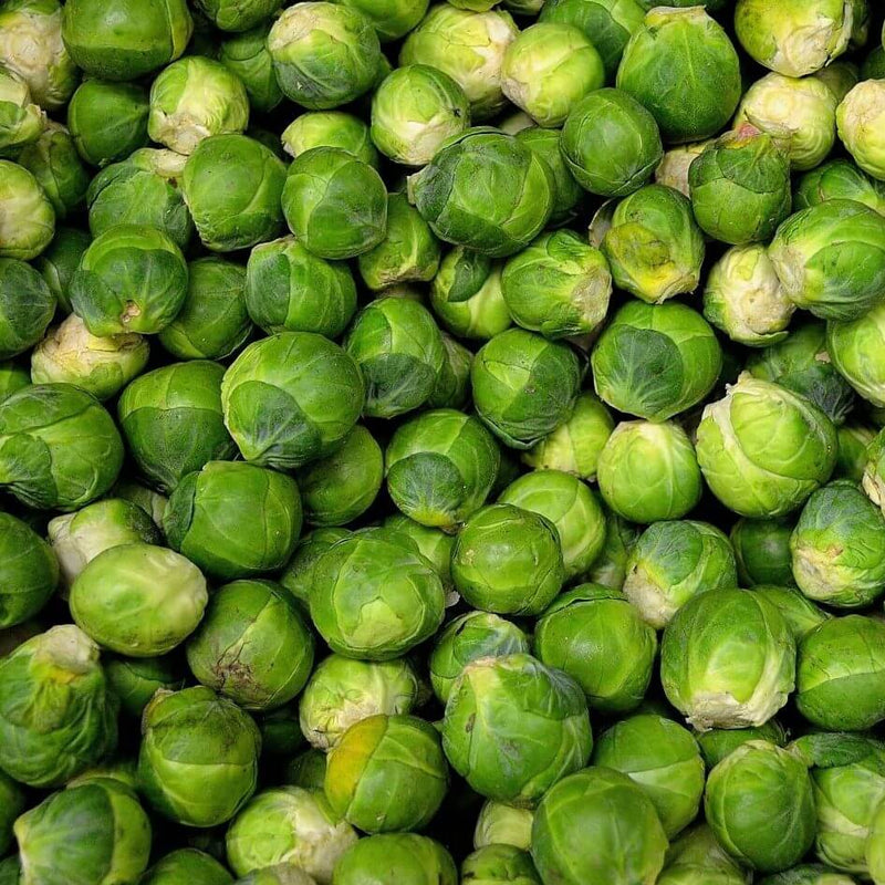 BRUSSEL SPROUTS LONG ISLAND