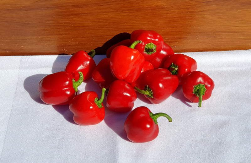INDIVIDUAL SWEET PEPPERS - RED BELL